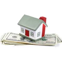 mini house in dollar